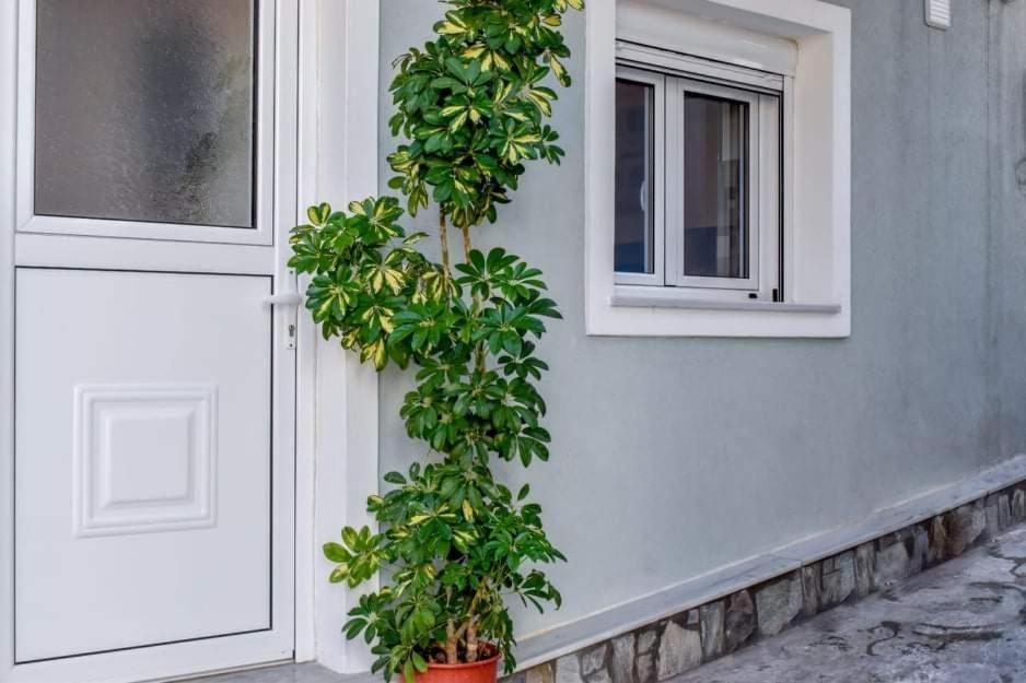 Klaidis House Apartman Szkiáthosz Kültér fotó